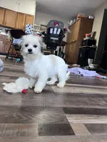 processed/06645dab-a538-484d-b318-f911e92e2a12/listing/af77f3c6-19e3-4fea-9cab-9d8501a5afb9/0682c187-1371-4924-bd50-085b9daaab3b