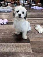 processed/06645dab-a538-484d-b318-f911e92e2a12/listing/af77f3c6-19e3-4fea-9cab-9d8501a5afb9/3159054b-4ede-4e53-b2fb-edc0f1c1dc33