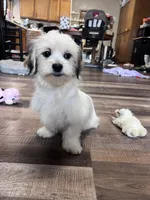 processed/06645dab-a538-484d-b318-f911e92e2a12/listing/af77f3c6-19e3-4fea-9cab-9d8501a5afb9/3a938f63-52af-4954-932c-c9dd0aa21a1a