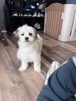 processed/06645dab-a538-484d-b318-f911e92e2a12/listing/af77f3c6-19e3-4fea-9cab-9d8501a5afb9/4158f67c-252e-4848-a5ec-581d694111bd