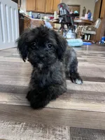 processed/06645dab-a538-484d-b318-f911e92e2a12/listing/b0a30359-6b29-41db-84b0-acbcebd4de5b/063fb783-1c7a-480b-9dbc-80d67297456c