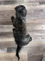 processed/06645dab-a538-484d-b318-f911e92e2a12/listing/b0a30359-6b29-41db-84b0-acbcebd4de5b/33224c4d-7705-48f8-9e82-a304c9a9bea0