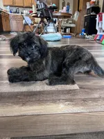 processed/06645dab-a538-484d-b318-f911e92e2a12/listing/b0a30359-6b29-41db-84b0-acbcebd4de5b/6a7fc32e-a373-444e-aff9-c87770a03046