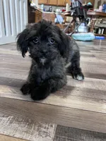 processed/06645dab-a538-484d-b318-f911e92e2a12/listing/b0a30359-6b29-41db-84b0-acbcebd4de5b/6c58651d-2314-47f9-a686-7b2872aa4966