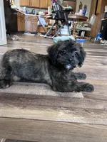 processed/06645dab-a538-484d-b318-f911e92e2a12/listing/b0a30359-6b29-41db-84b0-acbcebd4de5b/7d10b45f-3a8e-4695-8edb-b414081c6762