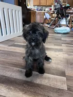 processed/06645dab-a538-484d-b318-f911e92e2a12/listing/b0a30359-6b29-41db-84b0-acbcebd4de5b/f17ab00a-3460-4c9e-ada4-c182710a5d89