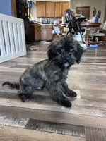 processed/06645dab-a538-484d-b318-f911e92e2a12/listing/b0a30359-6b29-41db-84b0-acbcebd4de5b/f715a7d7-de4c-4dac-9e0f-dc7c78553904