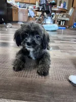 processed/06645dab-a538-484d-b318-f911e92e2a12/listing/b256991a-684a-4fe3-944a-bf3ec028ec0b/07f98ba9-92eb-41e7-8a04-561ddb94e621