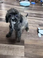 processed/06645dab-a538-484d-b318-f911e92e2a12/listing/b256991a-684a-4fe3-944a-bf3ec028ec0b/6116b890-26e9-41c0-94fd-2bc9c798b1d5