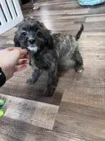 processed/06645dab-a538-484d-b318-f911e92e2a12/listing/b256991a-684a-4fe3-944a-bf3ec028ec0b/61c495a7-e75d-43df-85d6-6a9fa5213f04