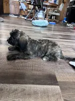 processed/06645dab-a538-484d-b318-f911e92e2a12/listing/b256991a-684a-4fe3-944a-bf3ec028ec0b/73af0d19-937b-4ab3-871d-9113bc4ee6e0