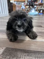 processed/06645dab-a538-484d-b318-f911e92e2a12/listing/b256991a-684a-4fe3-944a-bf3ec028ec0b/b9da557e-5d9b-4903-9070-68db31d20d31