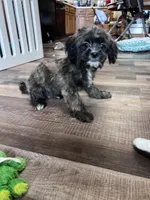 processed/06645dab-a538-484d-b318-f911e92e2a12/listing/b256991a-684a-4fe3-944a-bf3ec028ec0b/f83c08ca-6b39-424b-b7c0-9f6691f61048