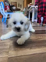 processed/06645dab-a538-484d-b318-f911e92e2a12/listing/d2ba4345-2891-4cc9-8b6d-1bd1bf8dc0f1/0b1152f2-630c-4536-9451-9bfffcd833f5