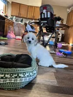 processed/06645dab-a538-484d-b318-f911e92e2a12/listing/d2ba4345-2891-4cc9-8b6d-1bd1bf8dc0f1/16f2e05a-d896-4e04-a90b-c8cfe7a8067c