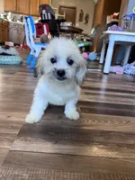 processed/06645dab-a538-484d-b318-f911e92e2a12/listing/d2ba4345-2891-4cc9-8b6d-1bd1bf8dc0f1/4ba405fb-bf8d-4ad9-a506-9629556cc025