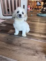 processed/06645dab-a538-484d-b318-f911e92e2a12/listing/d2ba4345-2891-4cc9-8b6d-1bd1bf8dc0f1/4f4a88ff-1926-4e65-96a4-61ef1e9b6005