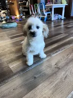 processed/06645dab-a538-484d-b318-f911e92e2a12/listing/d2ba4345-2891-4cc9-8b6d-1bd1bf8dc0f1/5b6632df-2779-4303-b9d9-282f17876c1b