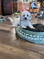 processed/06645dab-a538-484d-b318-f911e92e2a12/listing/d2ba4345-2891-4cc9-8b6d-1bd1bf8dc0f1/6daa2b7b-bd55-4c8c-808c-1333bc2d0688