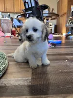 processed/06645dab-a538-484d-b318-f911e92e2a12/listing/d2ba4345-2891-4cc9-8b6d-1bd1bf8dc0f1/e9a7cfa8-786d-403e-b7c5-45339cdb1da1