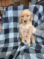 processed/06645dab-a538-484d-b318-f911e92e2a12/listing/d9d3f00f-9d25-4459-a610-e41f1d5fc057/0f911fca-034e-4088-abd8-e40a9b694b77