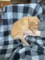 processed/06645dab-a538-484d-b318-f911e92e2a12/listing/d9d3f00f-9d25-4459-a610-e41f1d5fc057/1fe39e0f-4ee9-4a68-b068-f0a1c29b79de