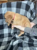 processed/06645dab-a538-484d-b318-f911e92e2a12/listing/d9d3f00f-9d25-4459-a610-e41f1d5fc057/4ca597d2-b885-4adf-8215-05c94275a9bd