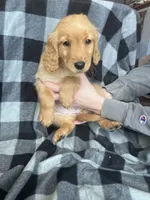 processed/06645dab-a538-484d-b318-f911e92e2a12/listing/d9d3f00f-9d25-4459-a610-e41f1d5fc057/f9617600-f953-470e-8b15-0af41d0090a9