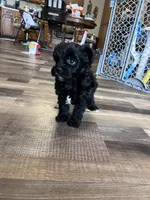 processed/06645dab-a538-484d-b318-f911e92e2a12/listing/f52809d4-125e-45bd-8ad4-7ab17914076a/03e180fb-1233-4e06-8cc1-a4c31d7047c4