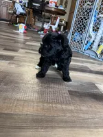 processed/06645dab-a538-484d-b318-f911e92e2a12/listing/f52809d4-125e-45bd-8ad4-7ab17914076a/53a70c9c-8136-4fa9-9c06-337a6b7627c8