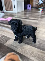 processed/06645dab-a538-484d-b318-f911e92e2a12/listing/f52809d4-125e-45bd-8ad4-7ab17914076a/5ba391c6-5593-49c9-b3ee-1e74db126d15