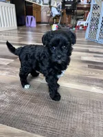 processed/06645dab-a538-484d-b318-f911e92e2a12/listing/f52809d4-125e-45bd-8ad4-7ab17914076a/9f481f5d-6e4d-4ffc-a0a9-f1f53aa1d5bb