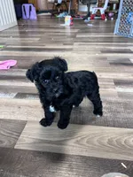 processed/06645dab-a538-484d-b318-f911e92e2a12/listing/f52809d4-125e-45bd-8ad4-7ab17914076a/abbcba3c-3daa-4c3b-af22-3de203e3ddc3