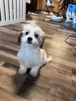 processed/06645dab-a538-484d-b318-f911e92e2a12/listing/f86a52bf-352c-456a-ab46-df654f0ed69c/09366a65-42f8-4141-b707-a776ea7b4b3e