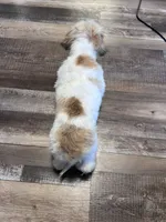 processed/06645dab-a538-484d-b318-f911e92e2a12/listing/f86a52bf-352c-456a-ab46-df654f0ed69c/29d066fe-39d7-4c19-aa37-964a0786cb0b