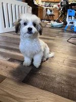 processed/06645dab-a538-484d-b318-f911e92e2a12/listing/f86a52bf-352c-456a-ab46-df654f0ed69c/6d35d6f9-bfb0-42f6-a0c9-74758c50e1c5