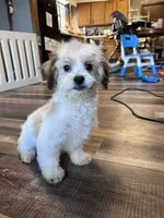 processed/06645dab-a538-484d-b318-f911e92e2a12/listing/f86a52bf-352c-456a-ab46-df654f0ed69c/7334c4b2-6918-4606-929d-b8f1f6e3d300