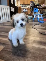 processed/06645dab-a538-484d-b318-f911e92e2a12/listing/f86a52bf-352c-456a-ab46-df654f0ed69c/b1dd57e5-e512-4cc0-916d-139ef0cff40e