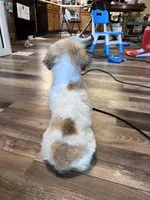 processed/06645dab-a538-484d-b318-f911e92e2a12/listing/f86a52bf-352c-456a-ab46-df654f0ed69c/f353c91d-1797-4721-b288-a6af20974a36