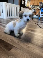 processed/06645dab-a538-484d-b318-f911e92e2a12/listing/f86a52bf-352c-456a-ab46-df654f0ed69c/fd7a6ef2-59bc-4aea-84cb-c149f8e32ff5