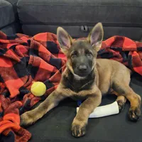 processed/066b76b4-346c-49d5-a280-b8b521482e6c/facility/0f3e3bb1-6592-4e8c-b2fc-5affa14c7ae1