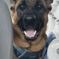 processed/066b76b4-346c-49d5-a280-b8b521482e6c/facility/283e87b8-0b91-41b0-9dd9-e908dbf62bd5