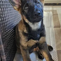 processed/066b76b4-346c-49d5-a280-b8b521482e6c/facility/2c5c180e-e429-4602-a57f-0197b159ebb6