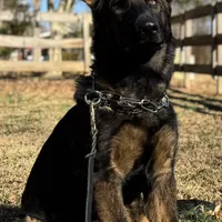 processed/066b76b4-346c-49d5-a280-b8b521482e6c/facility/4c5ab302-38b7-4cfc-b516-a9544c5dbccb