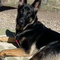 processed/066b76b4-346c-49d5-a280-b8b521482e6c/facility/4c6c756d-e33c-47dd-abf7-93c1250335f1