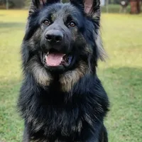 processed/066b76b4-346c-49d5-a280-b8b521482e6c/facility/56537006-5611-47cf-99ef-e6bafded1c56