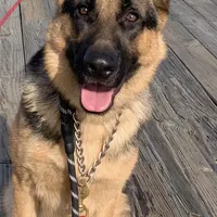 processed/066b76b4-346c-49d5-a280-b8b521482e6c/facility/60941bed-c1fd-4ac6-b3f1-15fa2618de09