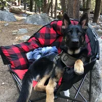 processed/066b76b4-346c-49d5-a280-b8b521482e6c/facility/e7890e2f-ab85-4c65-bd0c-fed97634b809