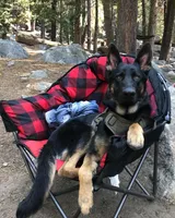 processed/066b76b4-346c-49d5-a280-b8b521482e6c/facility/e7890e2f-ab85-4c65-bd0c-fed97634b809