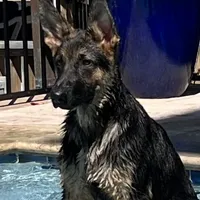 processed/066b76b4-346c-49d5-a280-b8b521482e6c/facility/f92f14d8-44e2-4bbc-b6b1-66a95eb2d93c